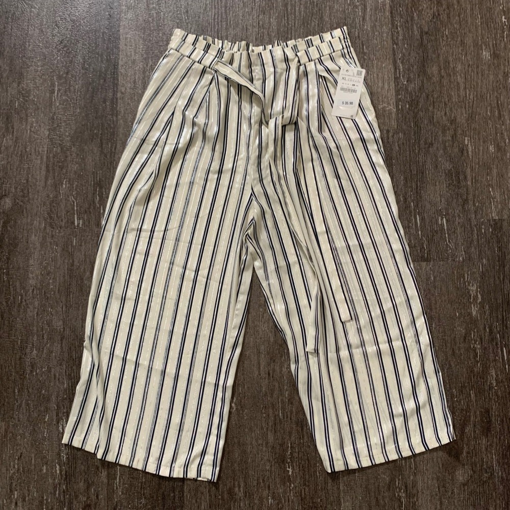 Zara Striped Wide Leg Cropped Pants Metallic Silver Navy Blue Elastic Waist XL